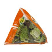 Alion Mixed Lettuce Salad 125 g
