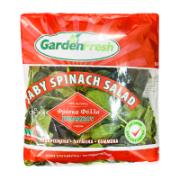 Gardenfresh Prepacked Spinach Salad 100 g