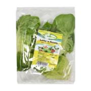Gardenfresh Prepacked Lettuce Hearts  150 g