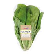 Alphamega Prepacked Fresh Lettuce Cos Per Piece