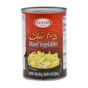 Teptit Stir Fry Mixed Vegetables In Water 425 g