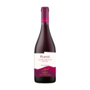 Oenou Yi Playia Cuvee Speciale Red Dry Wine 750 ml