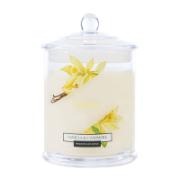 Colony Vanilla & Cashmere Fragranced Candle Glass 120 g
