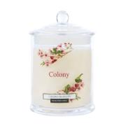Colony Cherry Blossom Fragranced Candle Glass 120 g