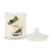 Colony Berry Picking Fragranced Candle Glass 120 g