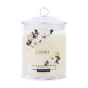 Colony Cotton Flower Fragranced Candle Glass 360 g