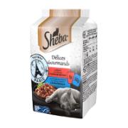 Sheba Ολοκληρωμένη Υγρή Τροφή για Ενήλικες Γάτες Βοδινό & Ψάρι σε Σάλτσα 6x50 g