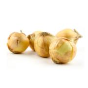 Fresh Onions 500 g